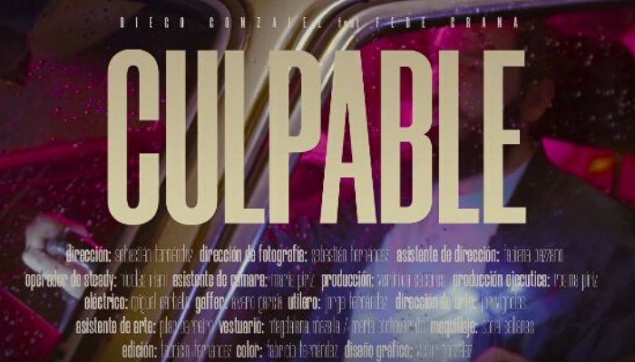 Diego González ft. Fede Graña – Culpable
